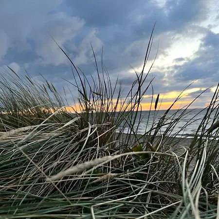 Seegras - Mit Kamin Und Sauna Für 8 Personen Ferienhaus Pepelow